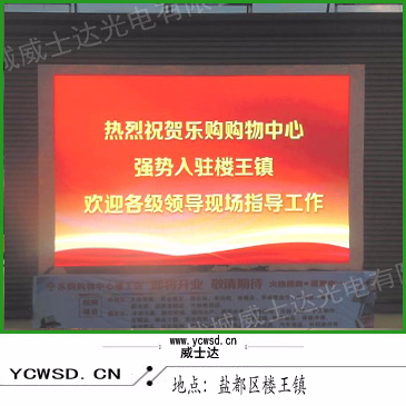 樓王樂購戶外P8表貼全彩