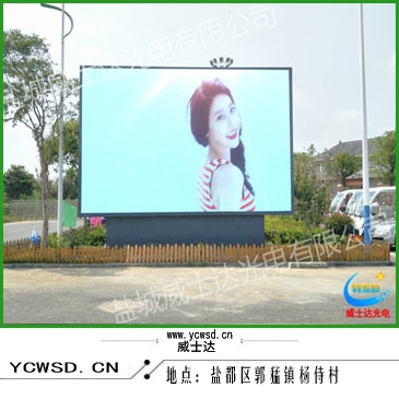 楊侍生態(tài)園戶外P8表貼全彩?